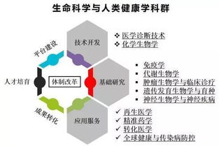 在這里，你也許能夠找到長壽的秘訣 技術咨詢的隱藏力量