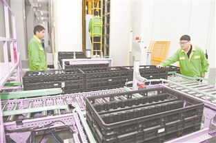 綠色能源揚(yáng)帆海外 余姚佳貝思以技術(shù)開發(fā)引領(lǐng)市場新篇